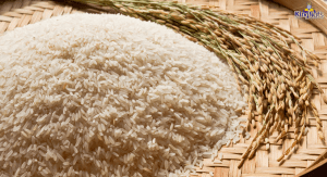 Xưởng xay bột cám gạo nguyên chất